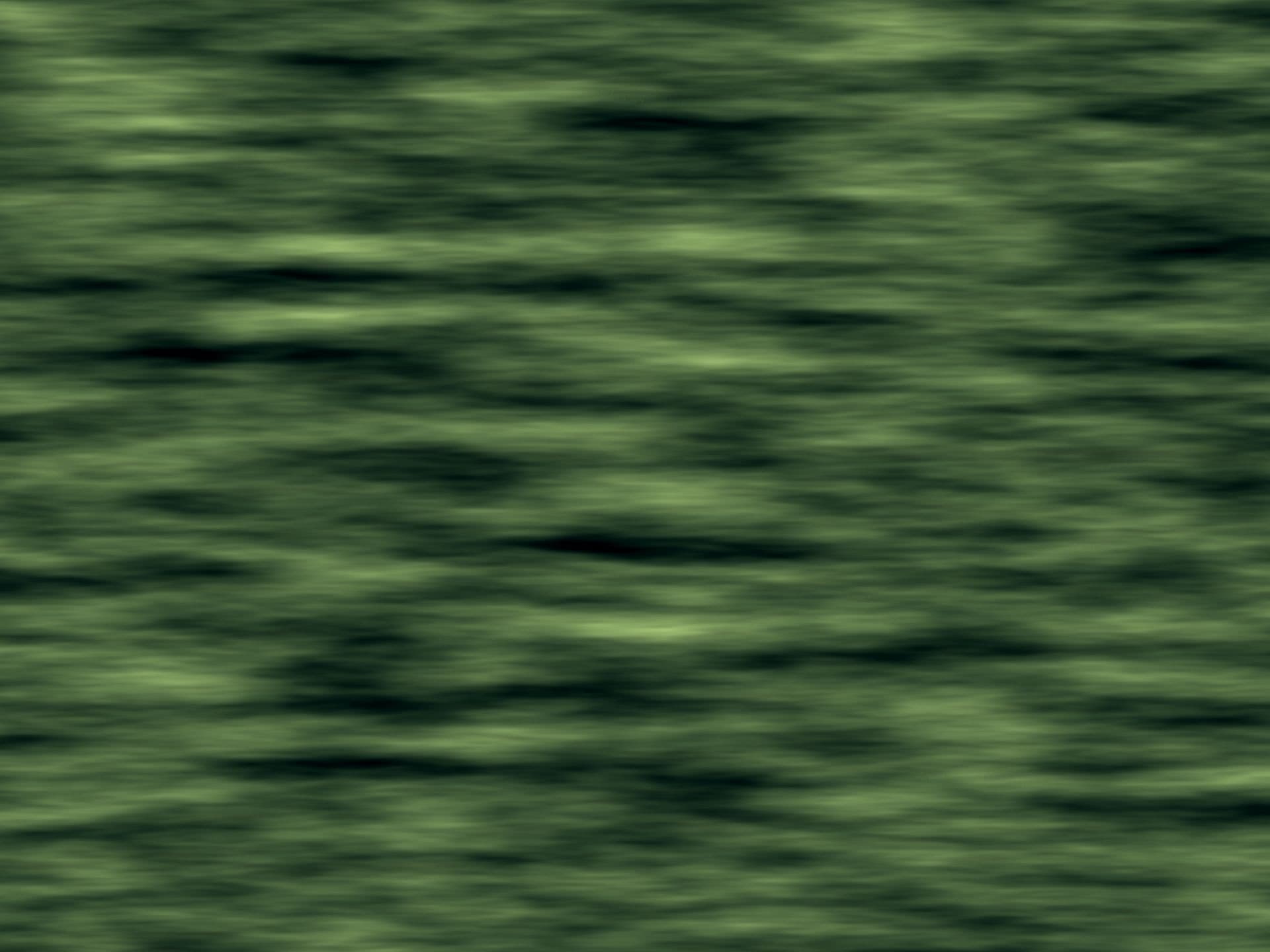Macro view of a leaf surface (placeholder image)